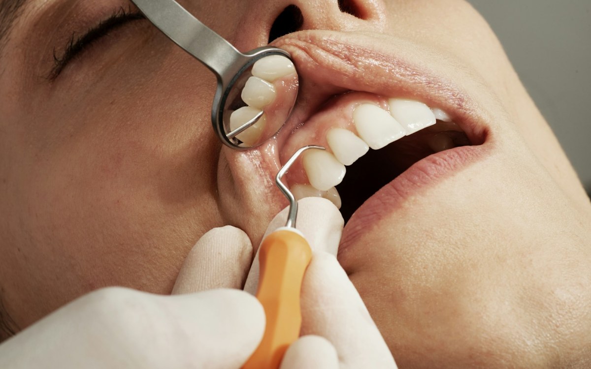 Dental Trust web sitesi önizlemesi